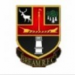 Profile picture of Bream Rugby Club